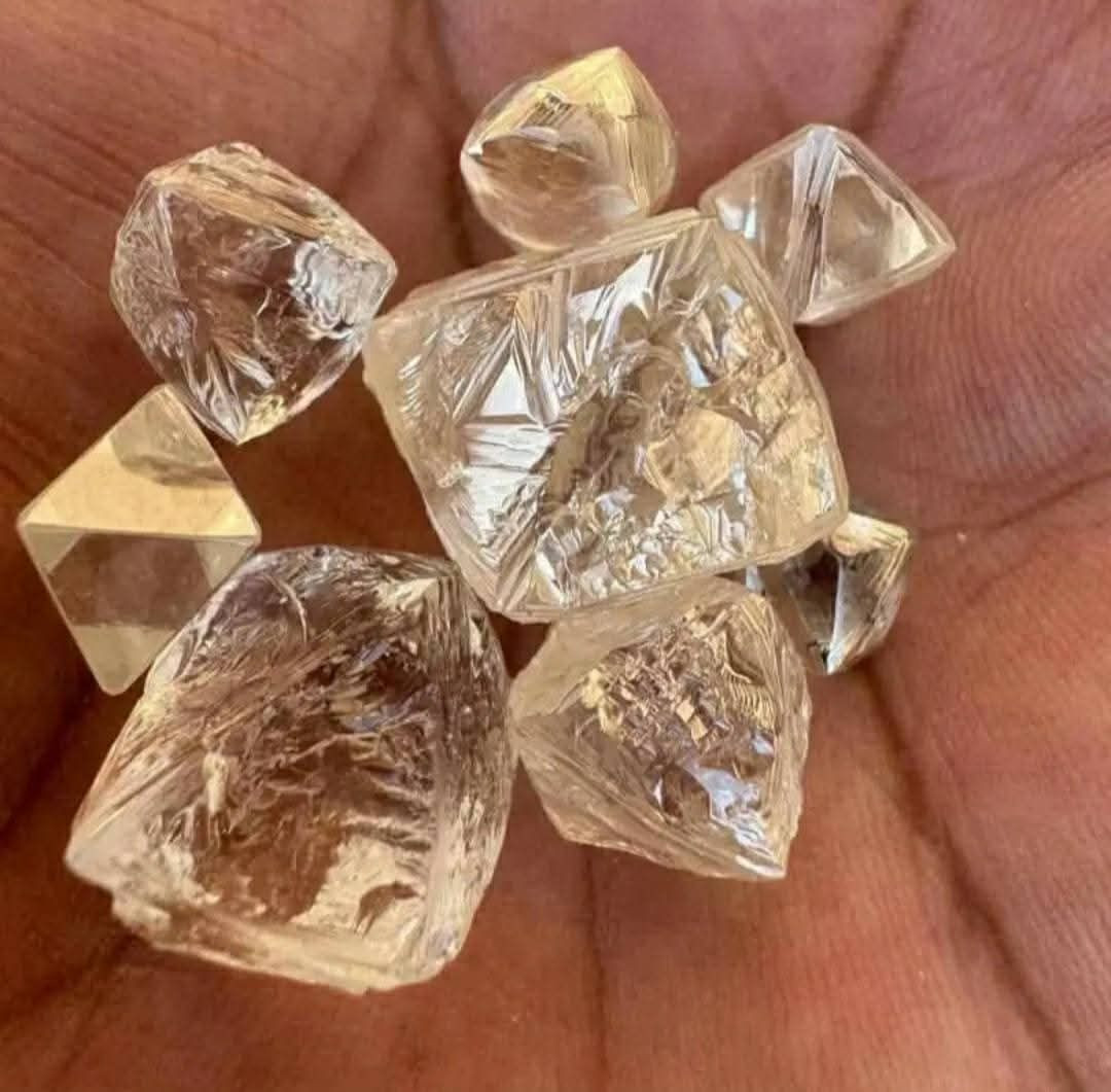 Gold bars , Rough Diamonds